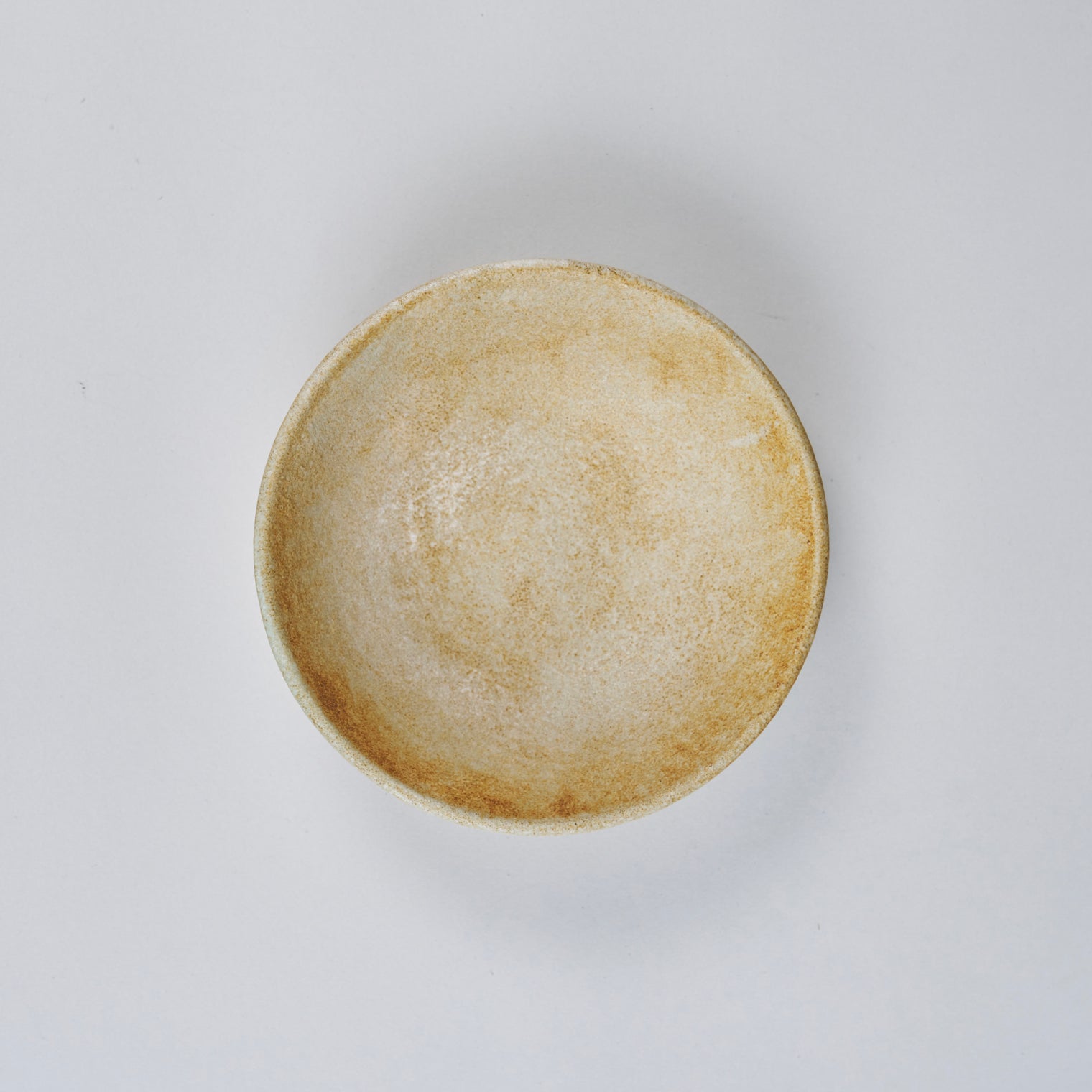 Mushimegane Books Bowl S