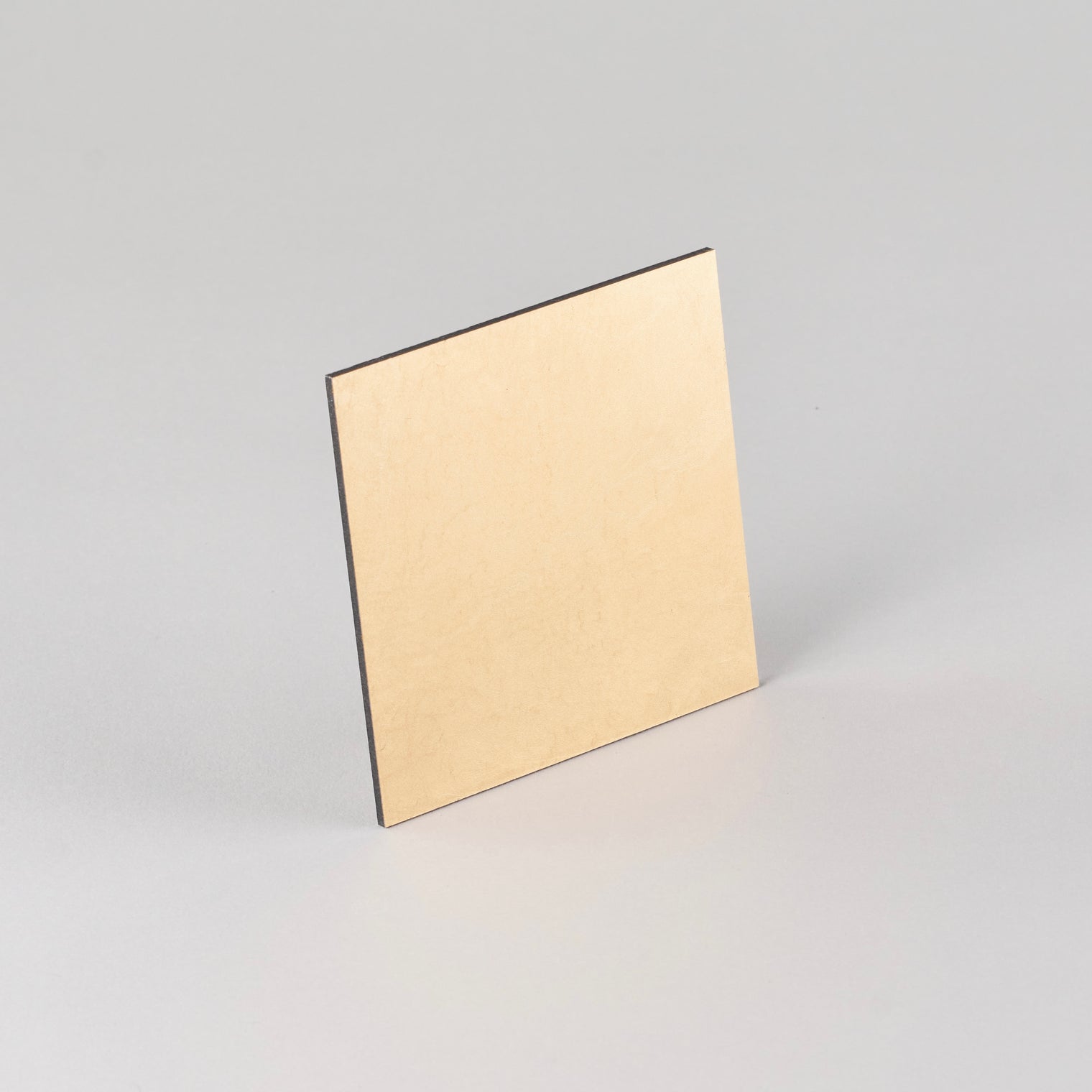 Hakuichi Coaster 1P, Gold, 10cm x 10cm x H0.3cm