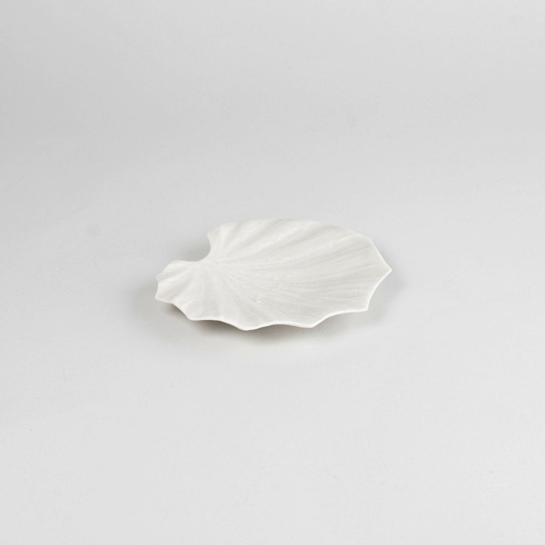 Asami Maeda Butterbur Small Plate White, 13.6×13×1.5cm