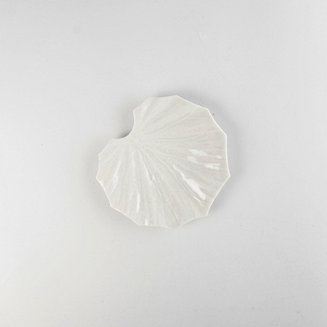 Asami Maeda Butterbur Small Plate White, 13.6×13×1.5cm