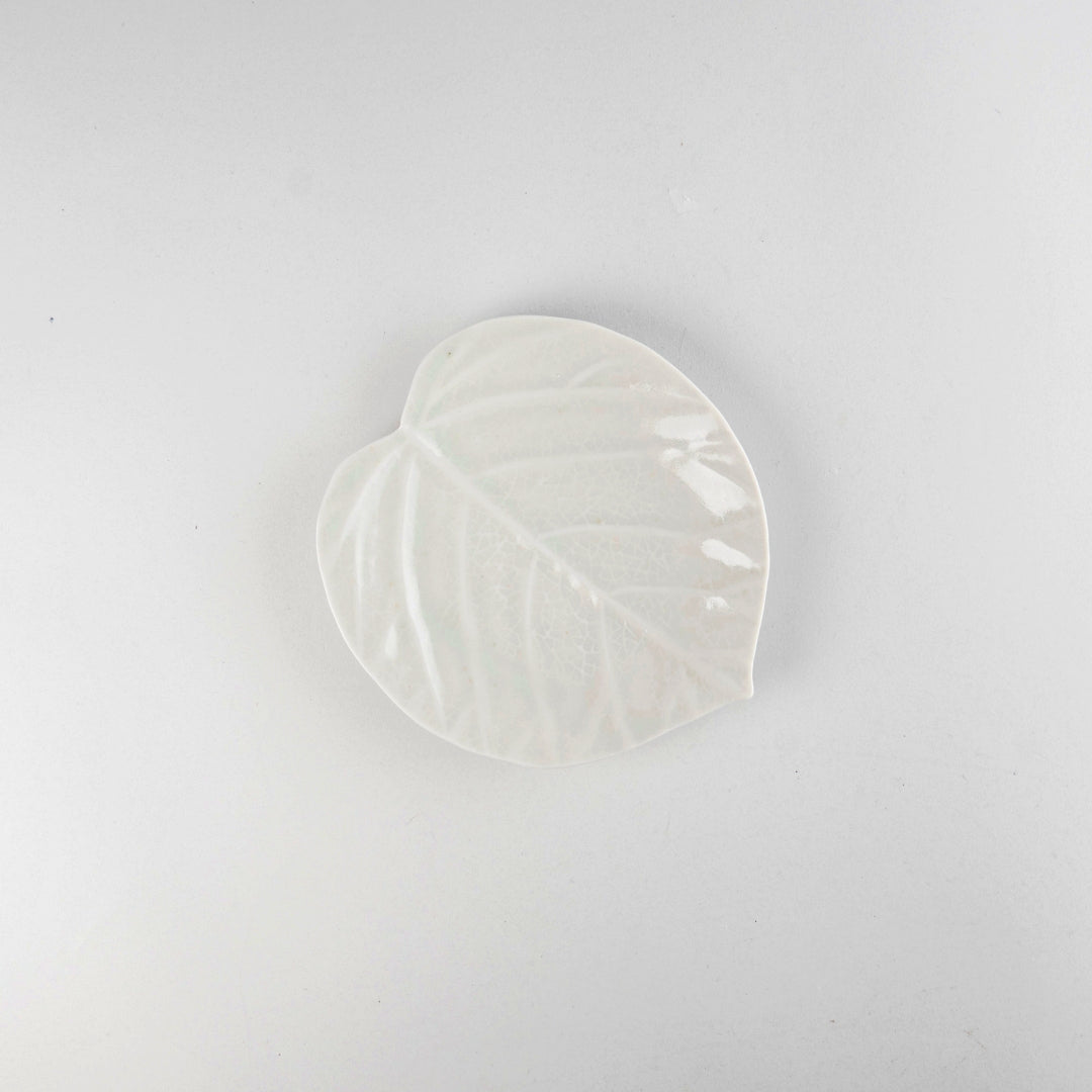 Asami Maeda Ficus Umbellata Small Plate White, 15.3×14.3×1.7cm