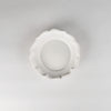 Usukiyaki, Ryouka Rim Plate Small, White