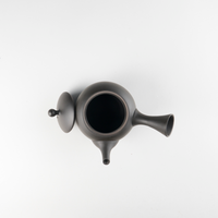 JINSUI Iroiro 01 Teapot Black, 290ml