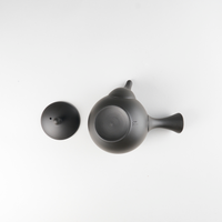 JINSUI Iroiro 01 Teapot Black, 290ml