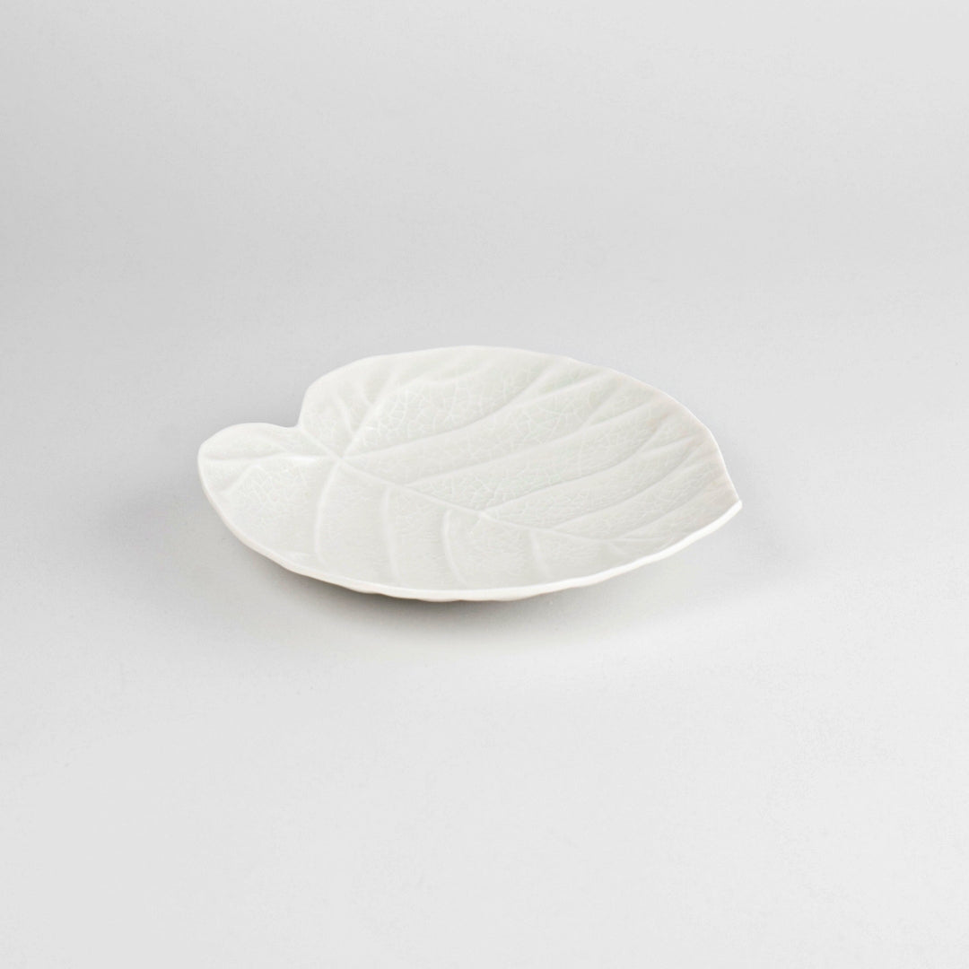 Asami Maeda Ficus Umbellata Medium Plate White, 18.7×16.3×3cm