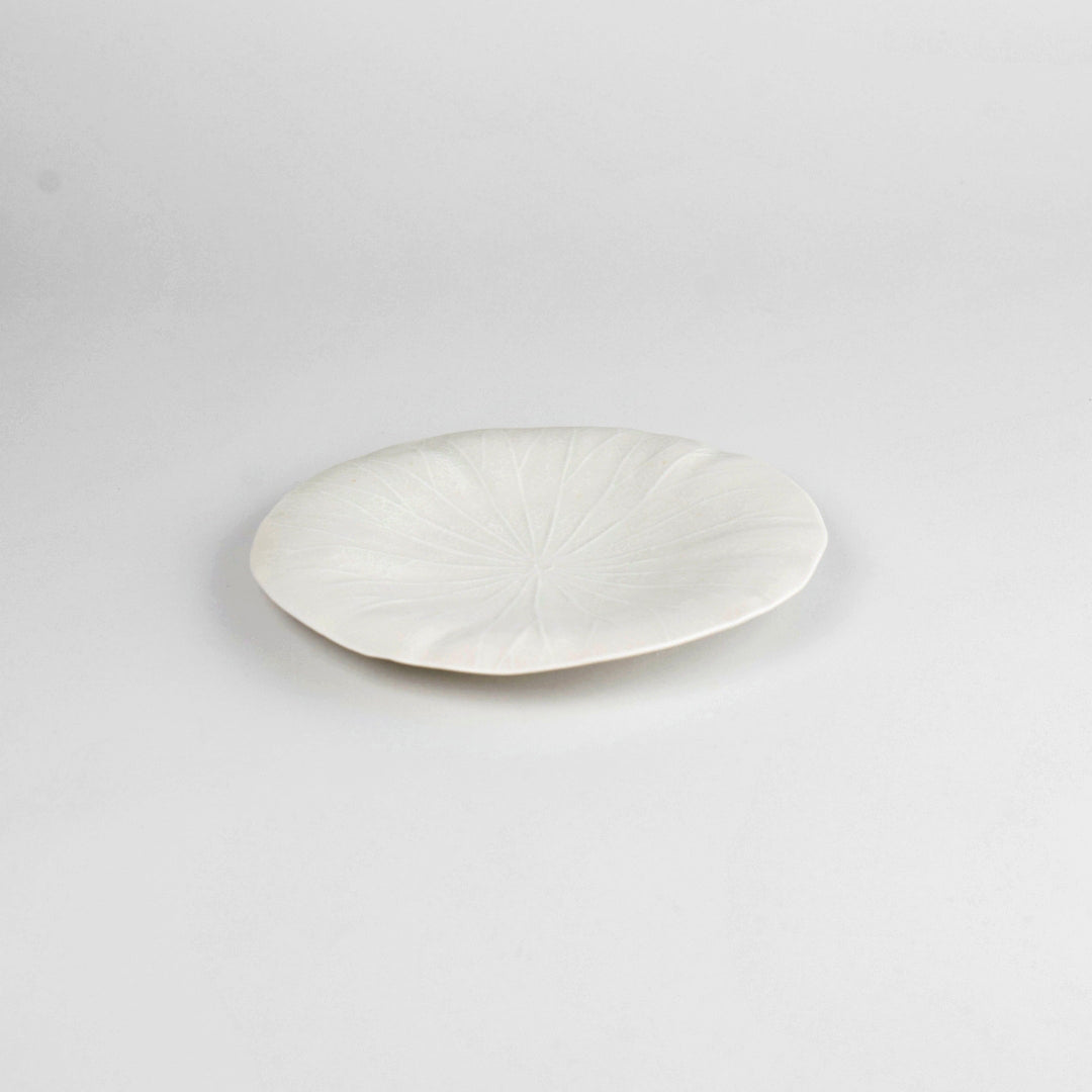 Asami Maeda Lotus Leaf Medium Plate White, 18.2×2.3cm