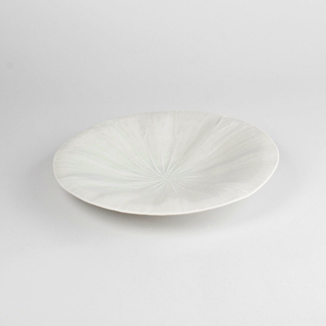 Asami Maeda Lotus Leaf Large Plate White, 23.7×4.1cm