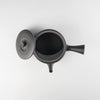 JINSUI Iroiro 02 Teapot Black, 460ml