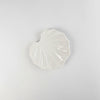 Asami Maeda Butterbur Small Plate White, 13.6×13×1.5cm