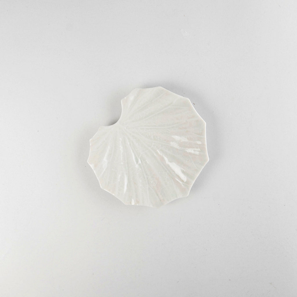 Asami Maeda Butterbur Small Plate White, 13.6×13×1.5cm
