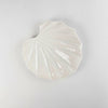 Asami Maeda Butterbur Medium Plate White, 18.2×17.9×2.3cm