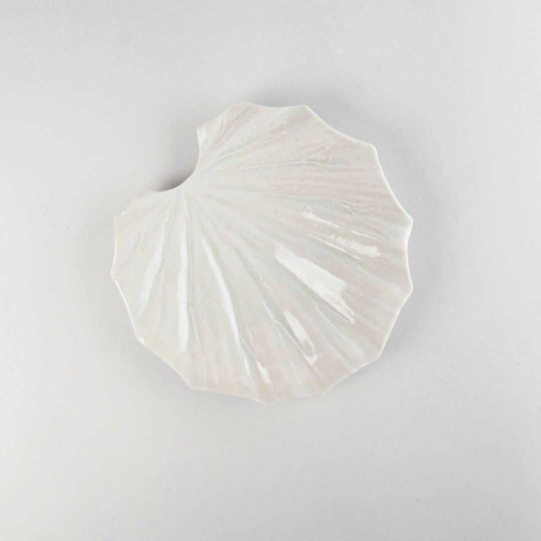 Asami Maeda Butterbur Medium Plate White, 18.2×17.9×2.3cm