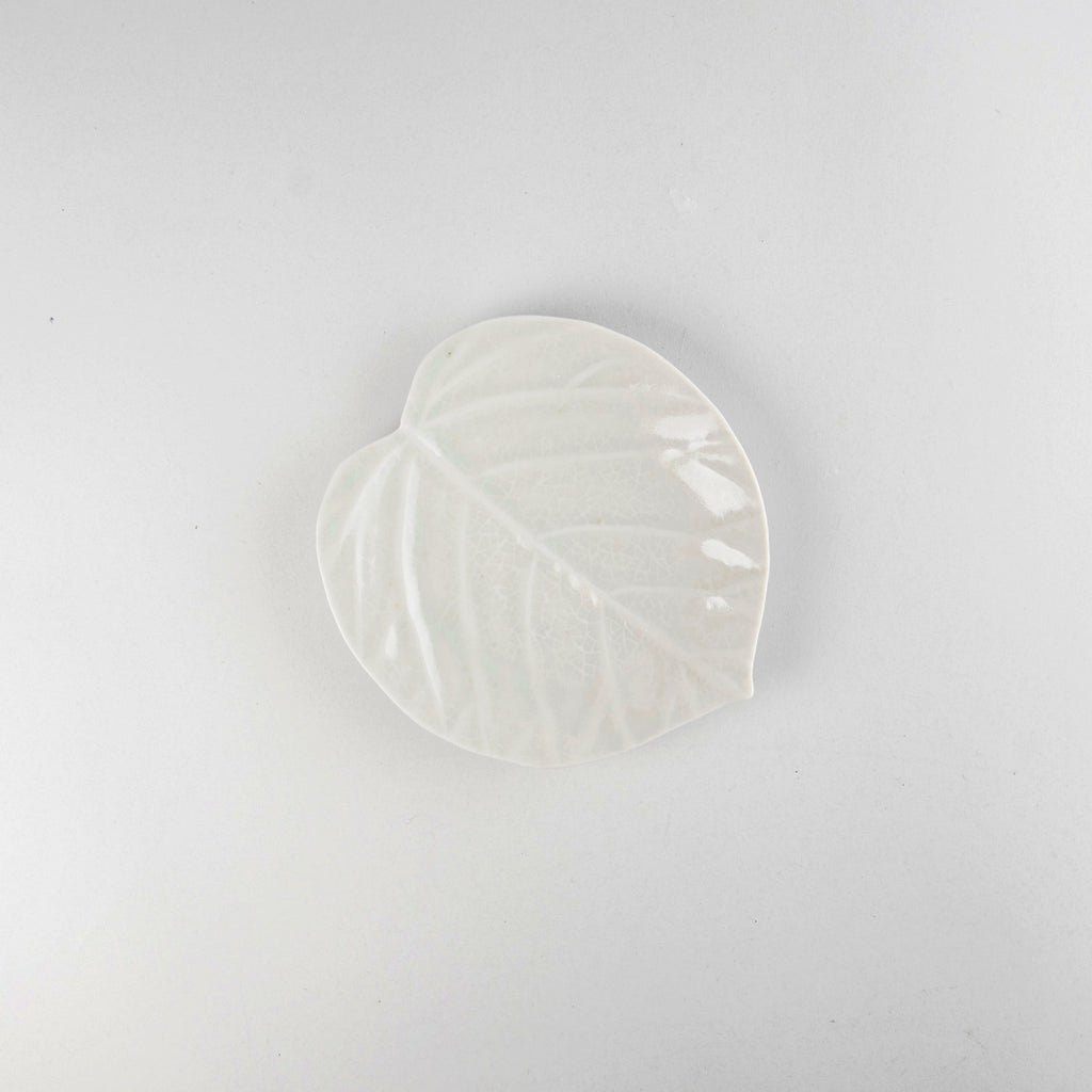 Asami Maeda  Ficus Umbellata Small Plate White, 15.3×14.3×1.7cm