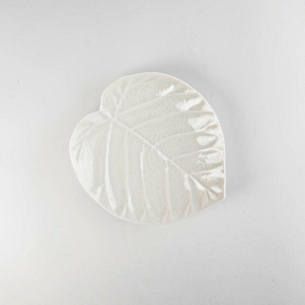 Asami Maeda Ficus Umbellata Medium Plate White, 18.7×16.3×3cm