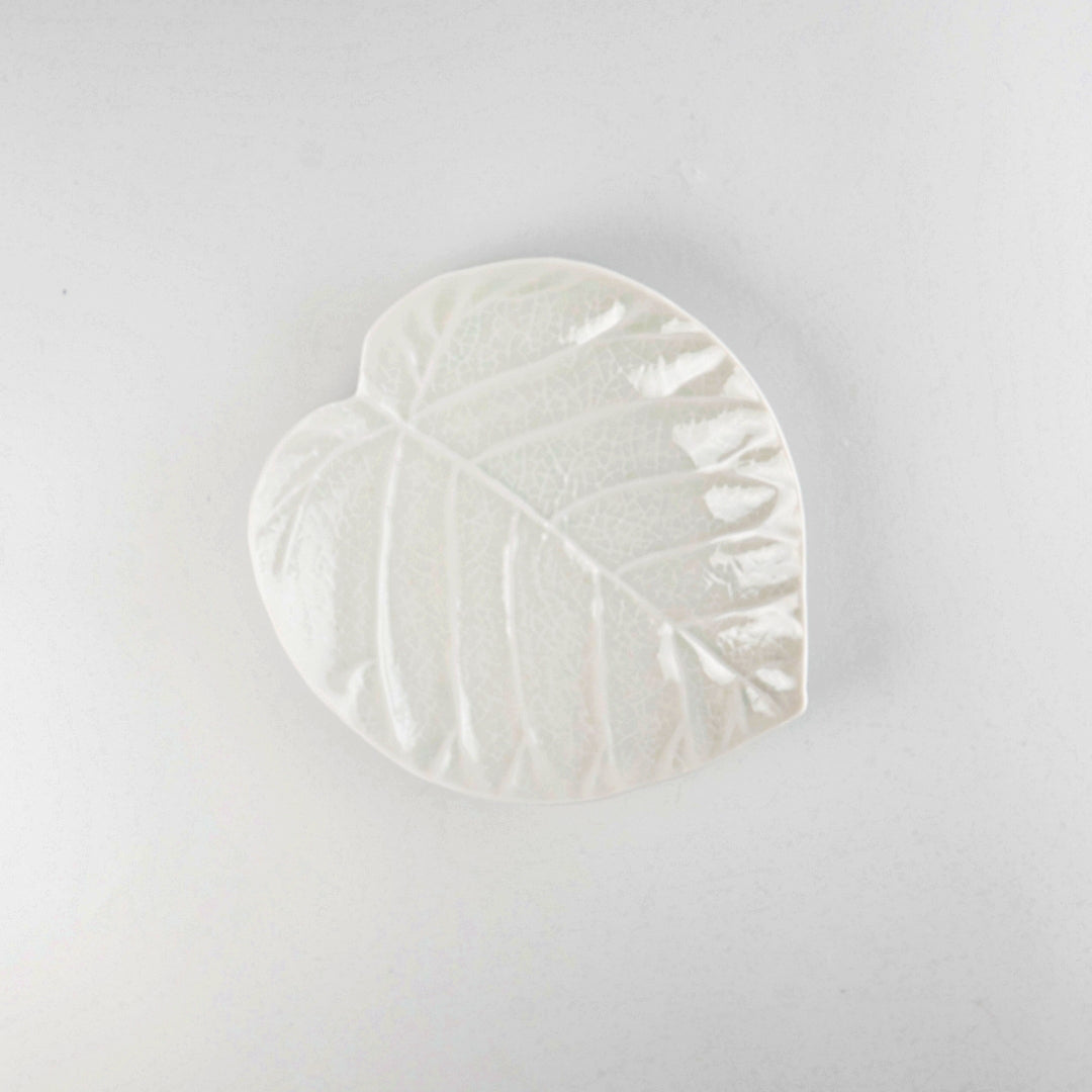 Asami Maeda Ficus Umbellata Medium Plate White, 18.7×16.3×3cm