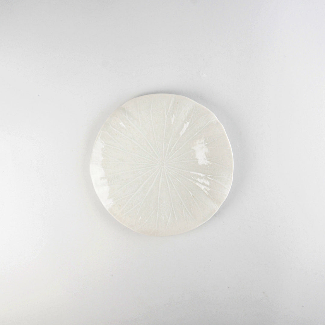 Asami Maeda Lotus Leaf Medium Plate White, 18.2×2.3cm