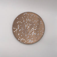 Kinrei Plate, 24.5cm