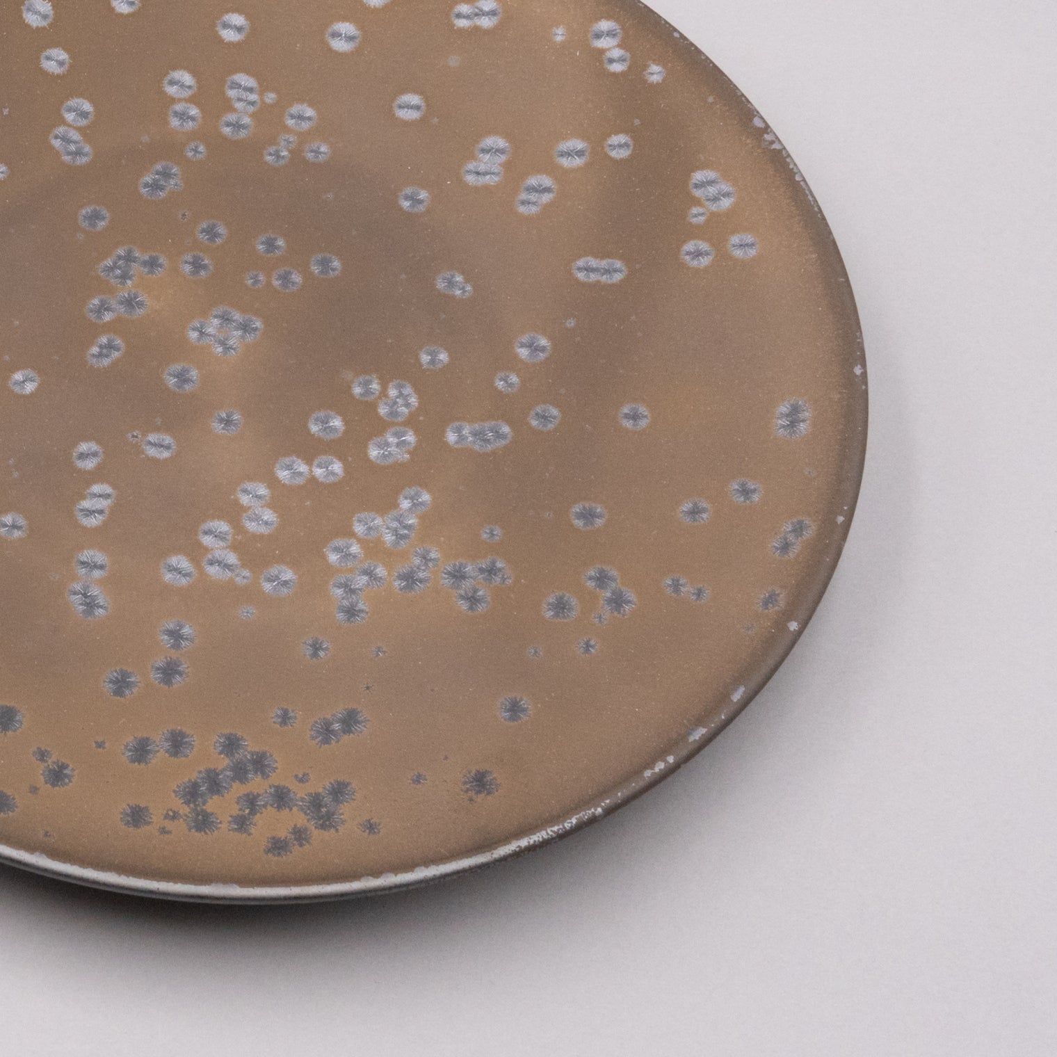 Kinrei Plate, 24.5cm