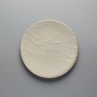 Kigoromo Shikkui Plate 27.3cm, 27.3cm x 2.3cm
